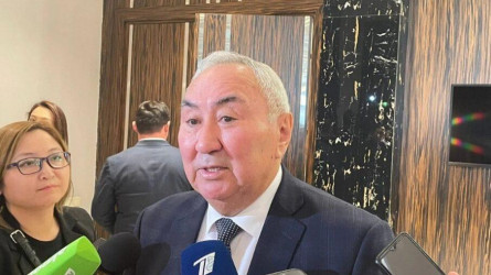 Жигули Дайрабаевтың екі ұлы субсидия ретінде алған 550 млн теңгені өз қажетіне жұмсаған