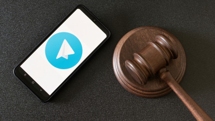 Salyqbot арқылы салық пен кеден рәсімдеріне қатысты кеңес алуға болады