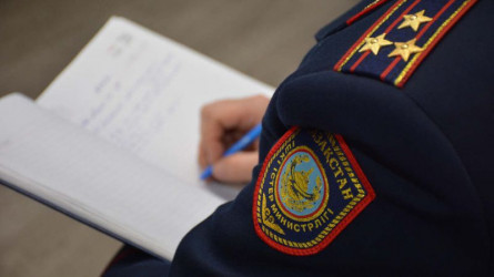 Жетісу облысында әйелдің үйіне қарулы шабуыл жасап, 22 млн теңгенің мүлкін алып кеткендер ұсталды