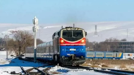 Теміржол бойында қараусыз жүрген бірнеше малды пойыз қағып кетті
