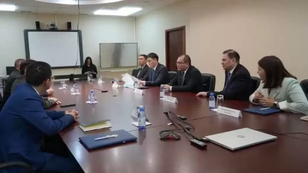 Түркия компаниясы Қазақстанда алтын кен орындарын іздеумен айналысады