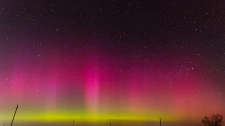 Ресейлік фотограф Батыс Қазақстанда табиғаттың таңғажайып құбылысын түсіріп алды