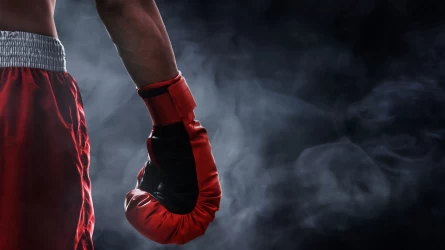 WBC-дегі қазақстандық боксшылардың рейтингі жарияланды