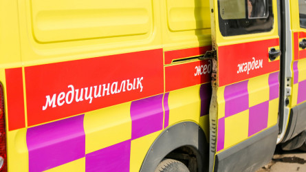 Кентаудағы саябақта кішкентай қызды жылқы қағып кетті