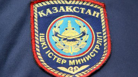 Көлігіне ит байлап, сүйреген жүргізушіге қатысты хаттама толтырылды