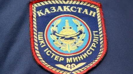 Көлігіне ит байлап, сүйреген жүргізушіге қатысты хаттама толтырылды