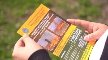 Шығыс Қазақстанда биыл 35 дала өрті тіркелді