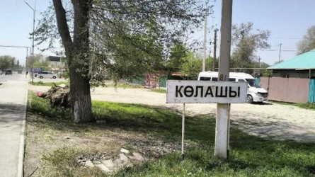 «Аузынан көбік ағып құлап жатқан»: Алматы облысында қайтыс болған 5 адамның туыстары оқиғаның қалай болғанын айтты