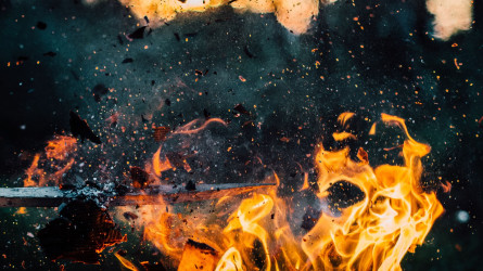Қураған шөптен 9 үй жанып кетті: Петропавл әкімі сөгіс алды
