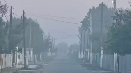 Мақтаарал ауданында қоқыс полигоны өртеніп, ауылды көк түтін басты