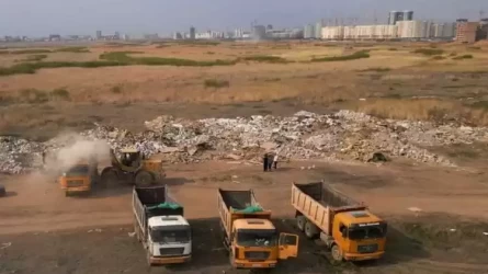Астанада 700 тонна қоқыс үйіндісіне себепкер болған кәсіпкерге айыппұл салынды