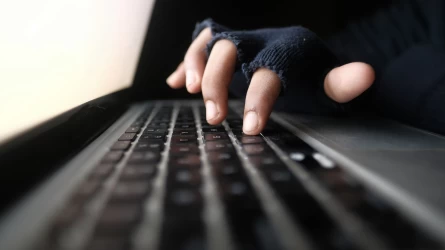 Төрт күннің ішінде мал ұрлығымен айналысқан 19 ұйымдасқан топ ұсталды