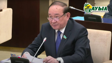 Әли Бектаев: Астық көлемін 1 жылға дейінгі мерзімге сақтау үшін қажетті қаржы бөлдіру қажет
