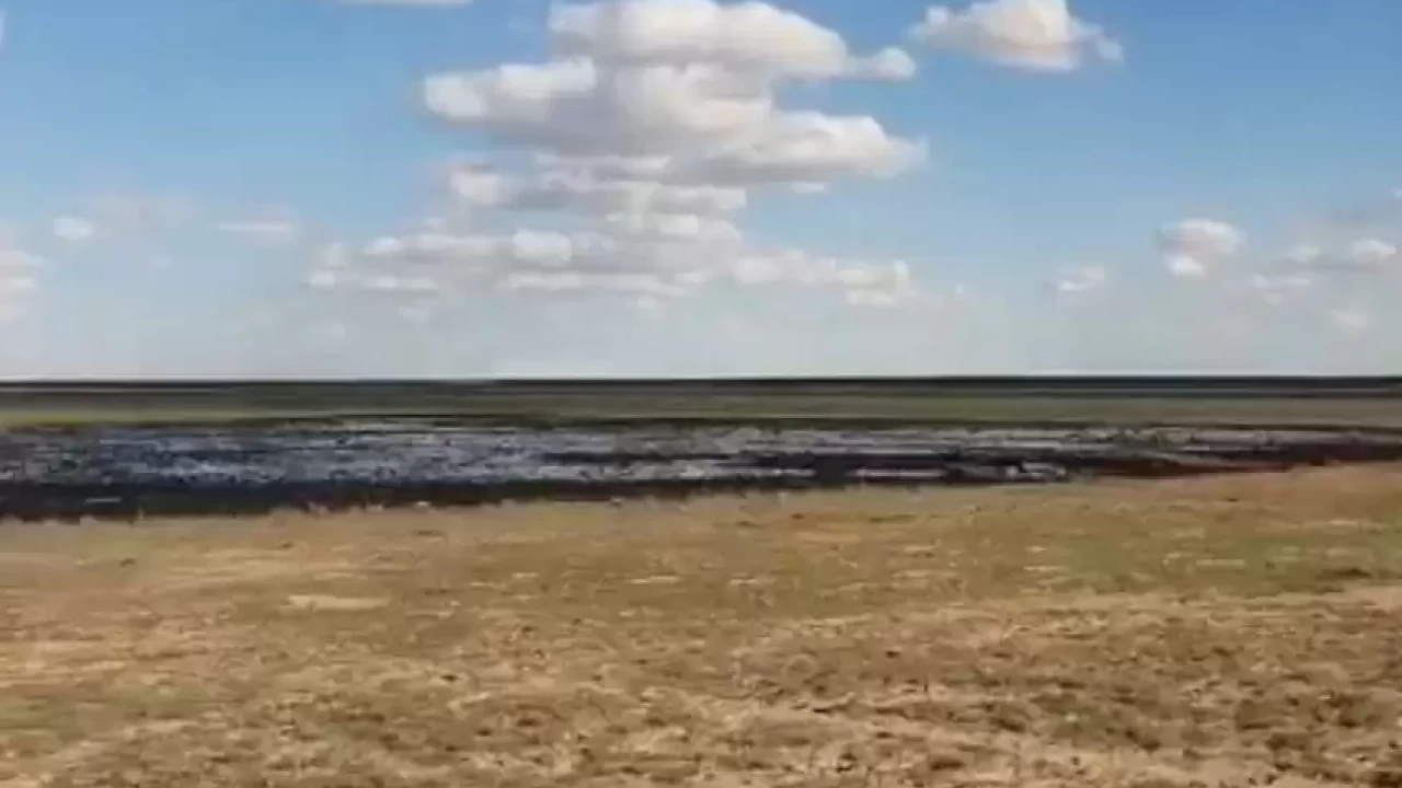 Атырау облысында мұнайға ұқсас сұйықтық ағып жатқан аумақ қоршалды
