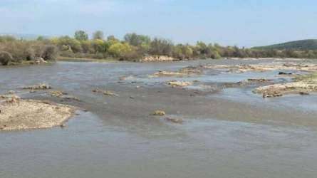 Жетісу облысында жоғалған оқушы қыз өлі күйінде табылды