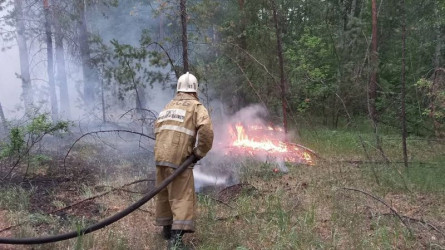 Абай облысының әкімдігі: Өрт ошақтарының басым бөлігі оқшауланды