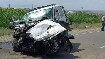 Талдықорған маңында көлік апатынан екі адам мерт болды