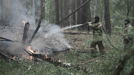 Тағы екі елдімекенде өрттің жаңа ошағы табылды – ТЖМ