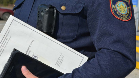 Семейлік студент курстық жұмыс сатып алам деп алаяққа ұрынды