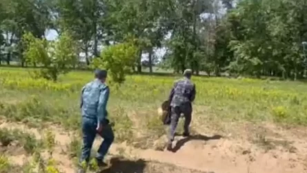 Абай облысындағы тракторшының өліміне жүрек жеткіліксіздігі себеп болған