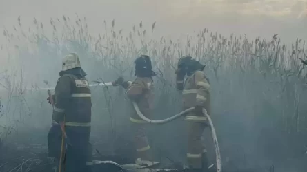 Астана маңындағы өртті толық сөндіруге екі апта керек - министр
