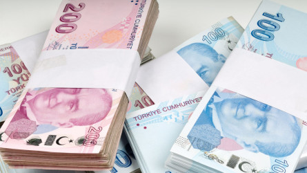 Түріктің лирасы тағы да арзандады