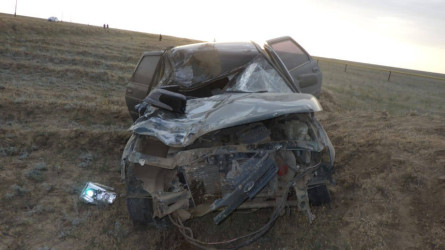 БҚО-да жылқы мен жеңіл көлік соқтығысып, бір адам мерт болды