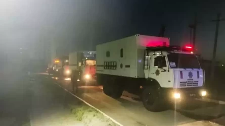 Семей орманындағы өртті сөндіруге Қарағанды және Алматы облысынан әскерилер тартылды