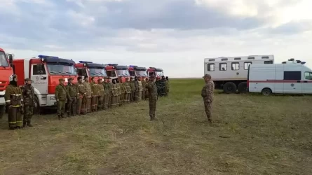 Астана маңындағы қураған шөптің өртін сөндіру жалғасуда