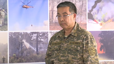 14 адамнан айырылып қалдық, бұл сізге ойыншық па - Абай облысының әкімі сөгіс алды