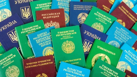 Қос азаматтығы бар 233 адам анықталды - ҚР ҰҚК Шекара қызметі