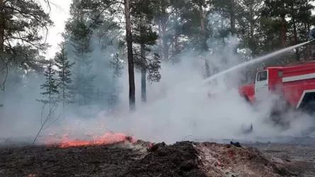 Шығыс Қазақстанда тағы бір орман өртеніп жатыр