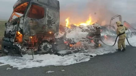 Павлодар облысында макулатура тиеген жүк көлігі жанып кетті