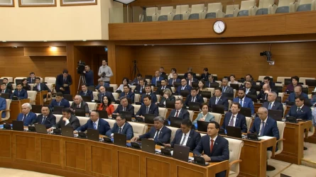 Парламент депутаттары каникулға шықты