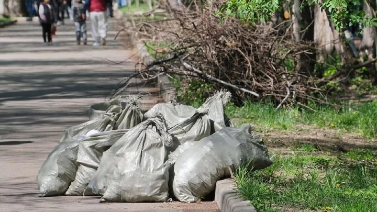 Алматылықтарға көшеге қоқыс тастағаны үшін 91 миллион теңге айыппұл салынды