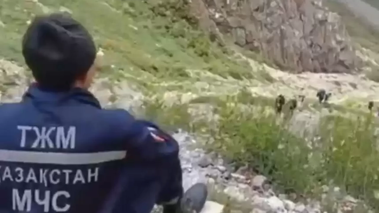 Түркістан облысында тау басынан құлап кеткен турист әлі табылған жоқ