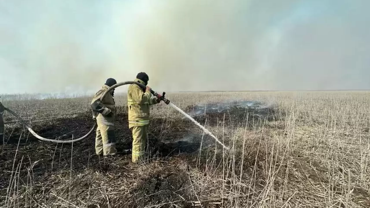 Каспий жағалауында 7 күнге созылған қамыс өрті сөндірілді