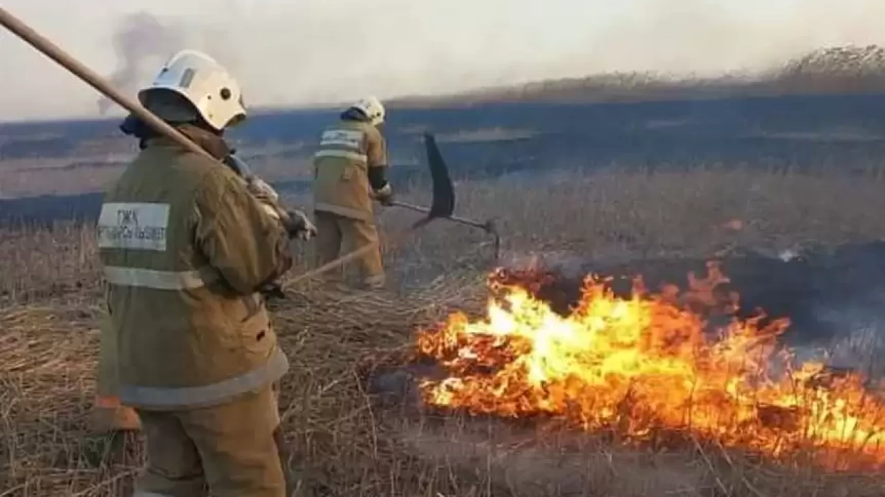 Атырау облысында Каспий жағалауында тағы қамыс өртеніп жатыр