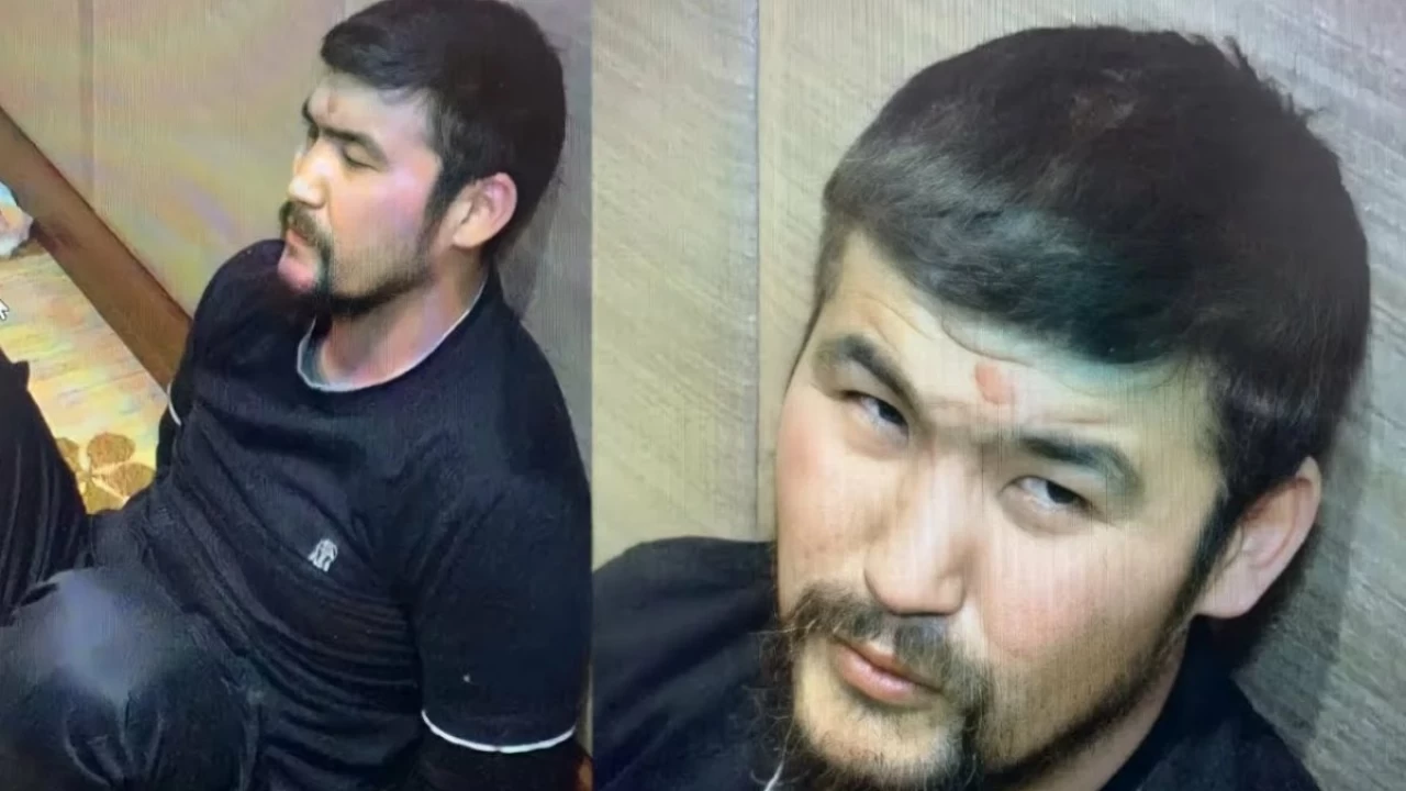ІІМ «Дикий Арман» ісіне қатысты жүргізген арнайы операциялар туралы ресми мәлімдеді