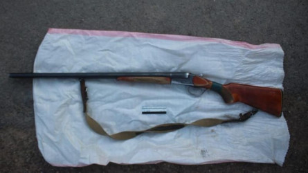 Жалдамалы жұмысшы құстың орнына абайсызда баланы атып жіберген