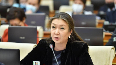 Динара Закиева Бейбіт Шүменовті тағы бір бап бойынша жауапқа тартуды талап етті