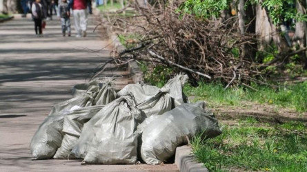 Алматылықтарға көшеге қоқыс тастағаны үшін 91 миллион теңге айыппұл салынды