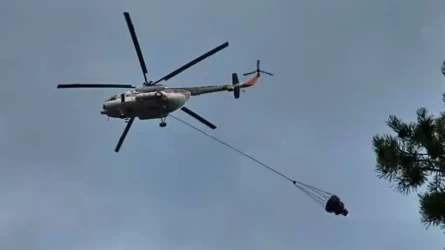 ШҚО-ның таулы аймағындағы өртті сөндіруге бірнеше тікұшақ тартылды