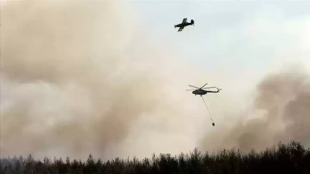 Бодрум әуежайының маңында ірі орман өрті тұтанды