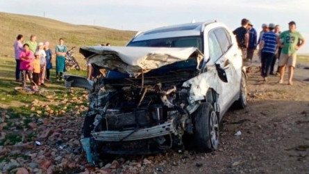 Қарағанды облысында депутат көлікпен балалар мен 9 сиырды қағып кетті