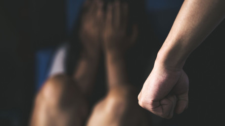 Бес айда балаларға қарсы 83 зорлау және 11 өлім дерегі тіркелді