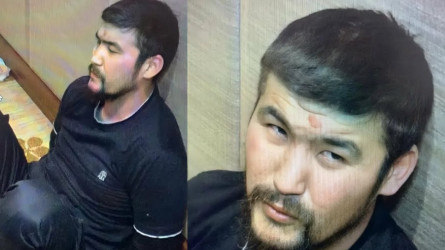 ІІМ «Дикий Арман» ісіне қатысты жүргізген арнайы операциялар туралы ресми мәлімдеді