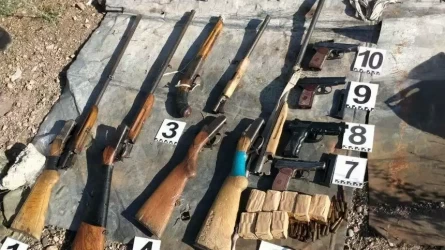Жамбыл облысында полицейлер 250-ден астам қару тәркіледі