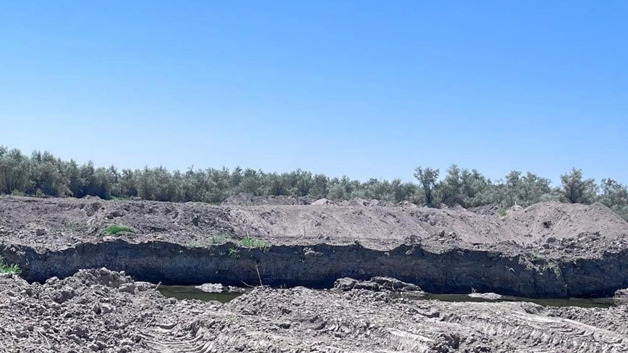 Түркістан облысында заңсыз құм карьерлерінің жұмысы тоқтатылып жатыр
