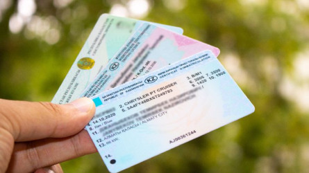 Жүргізуші куәлігін сатып алмақ болған қыз алаяққа алданып қалды